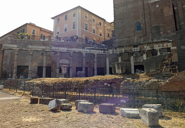 Porticus of the Consenting Gods in the Forum Romanum, July 2012