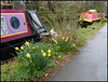 canalside daffs