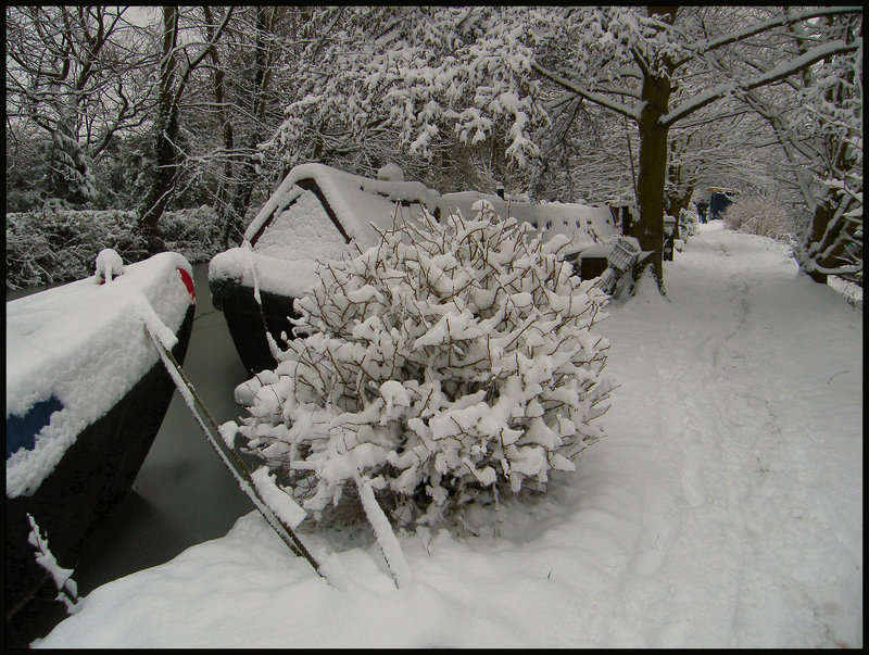 silent snowy path