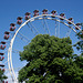 The big wheel in the park