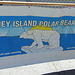 Polar Bear Club Banner at the Coney Island Mermaid Parade, June 2007