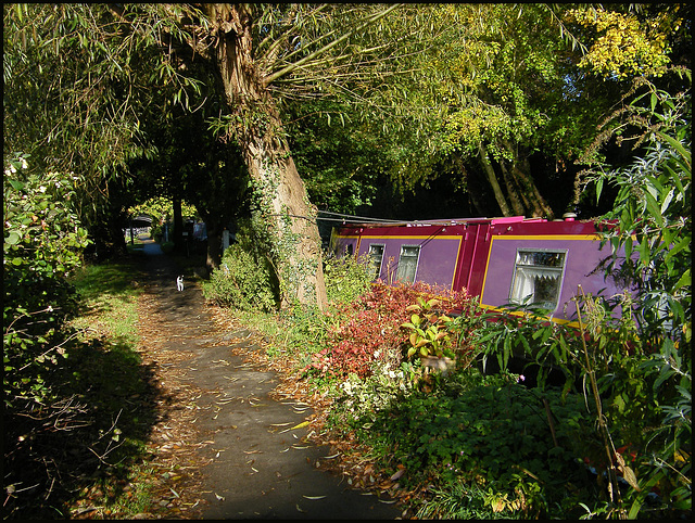 sunlit towpath