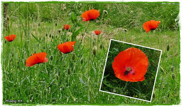 L'ARCHE DE la NATURE