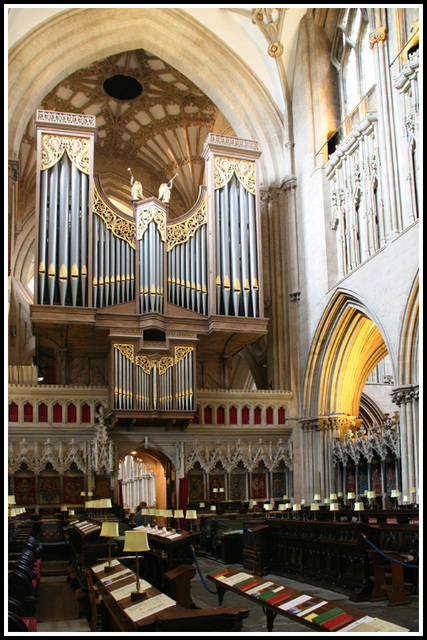 massive organ