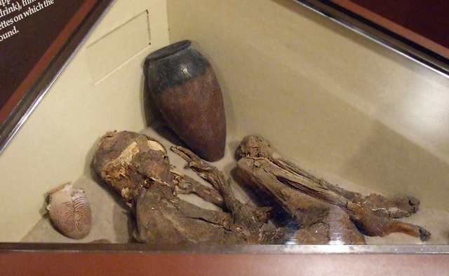 Egyptian Predynastic Burial Reconstruction in the University of Pennsylvania Museum, November 2009