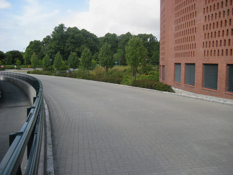 The curvy road