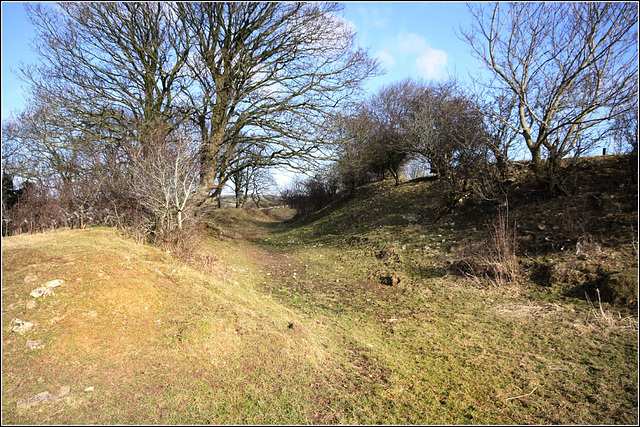 Iron age ditch