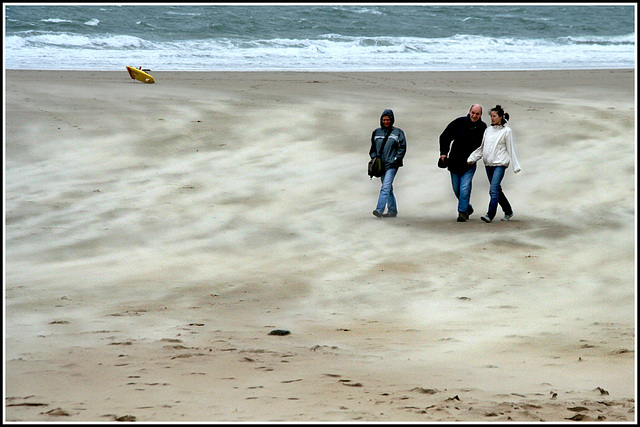 Wind blown sand