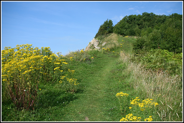 cliff pathway