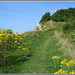 cliff pathway