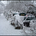 snowy moorings