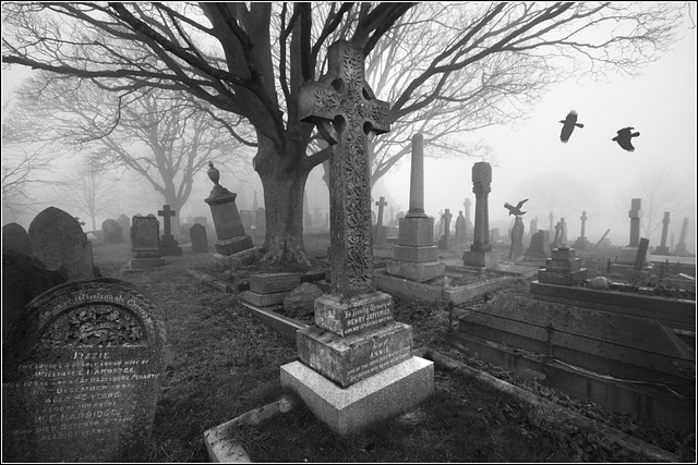 A grave situation