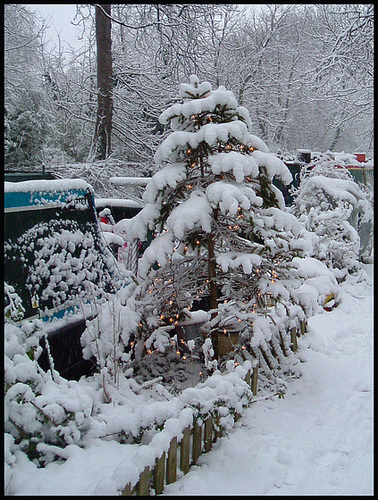 Christmas tree lights in the snow