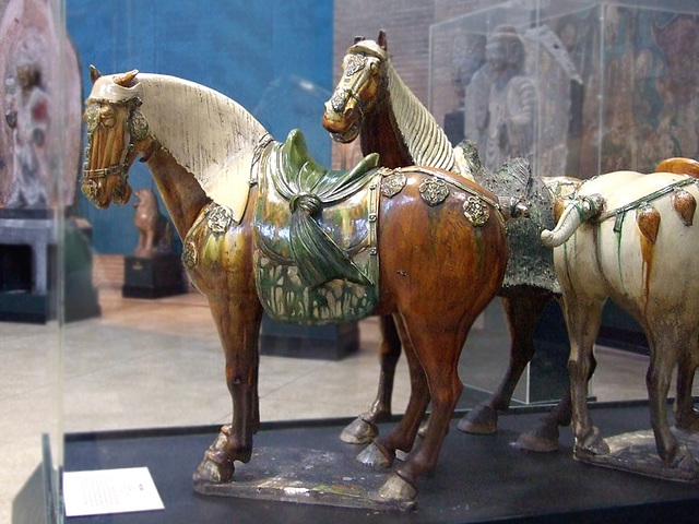 The Tang Dynasty Horses in the University of Pennsylvania Museum, November 2009