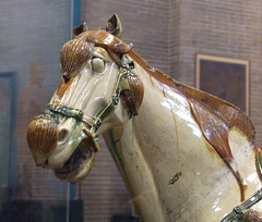 Detail of the Tang Dynasty Horses in the University of Pennsylvania Museum, November 2009