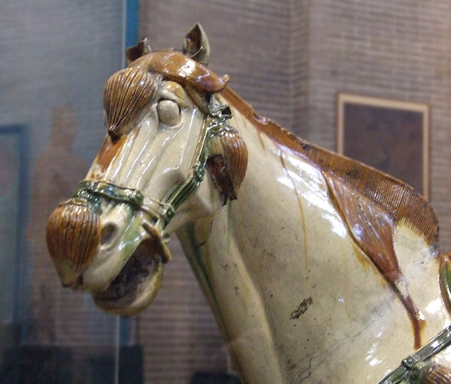 Detail of the Tang Dynasty Horses in the University of Pennsylvania Museum, November 2009