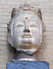 Head of a Bodhisattva in the University of Pennsylvania Museum, November 2009