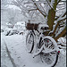 snowy bike