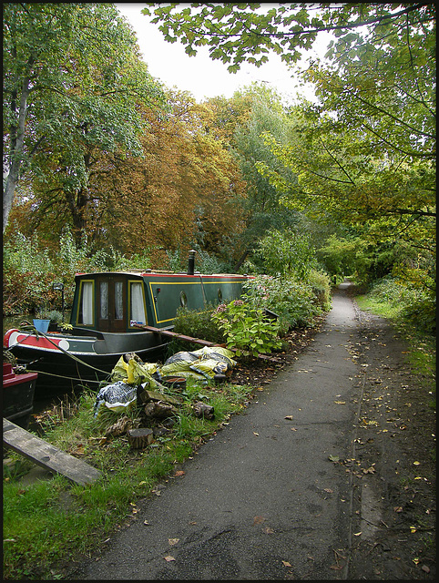 a hint of autumn