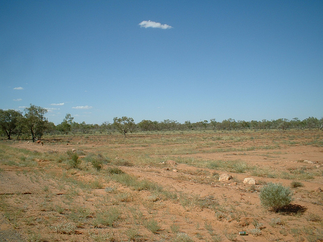 Jersey 216 Tibooburra - Broken Hill