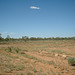 Jersey 216 Tibooburra - Broken Hill