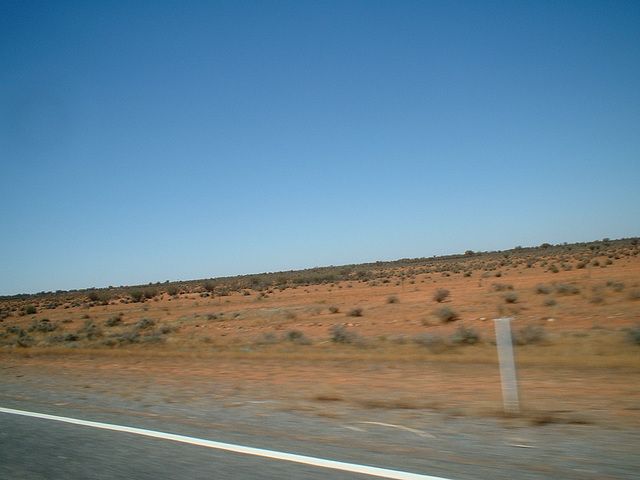 Jersey 229 Tibooburra - Broken Hill