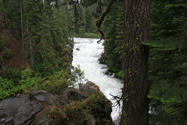 Benham Falls