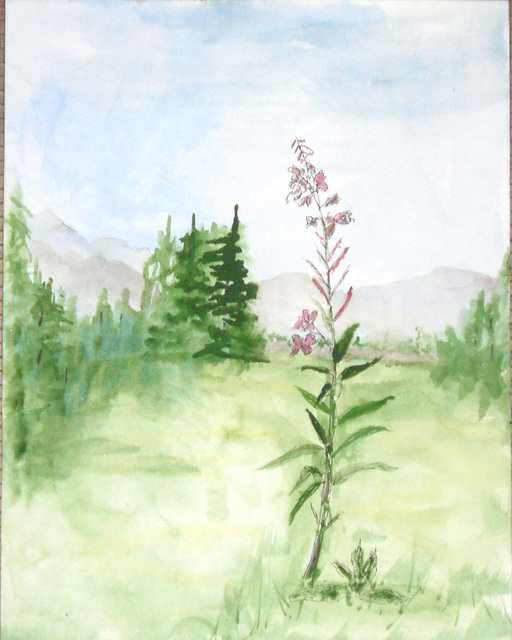 fireweed