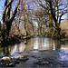 The river Garw