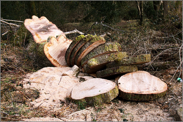 Sliced
