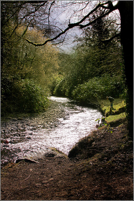 Sunlit stream