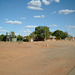 Jersey 224 Tibooburra - Broken Hill