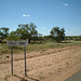 Jersey 215 Tibooburra - Broken Hill