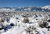 Washoe Valley winter