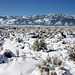 Washoe Valley winter