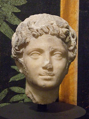 Marble Portrait of a Youth in the University of Pennsylvania Museum, November 2009