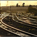 all tracks head west