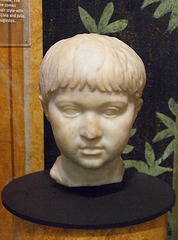 Marble Portrait of the Boy Caligula(?) in the University of Pennsylvania Museum, November 2009