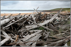 Driftwood