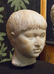 Marble Portrait of the Boy Caligula(?) in the University of Pennsylvania Museum, November 2009