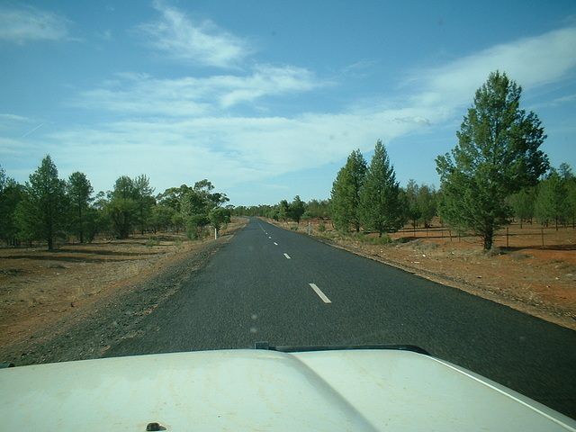 Jersey 266 Cobar - Lake Cargelligo