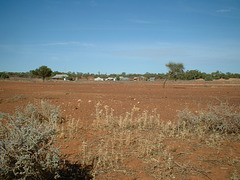 Jersey 267 Cobar - Lake Cargelligo