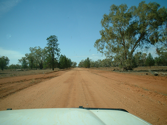 Jersey 268 Cobar - Lake Cargelligo