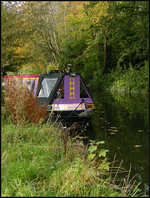 boats come in all colours