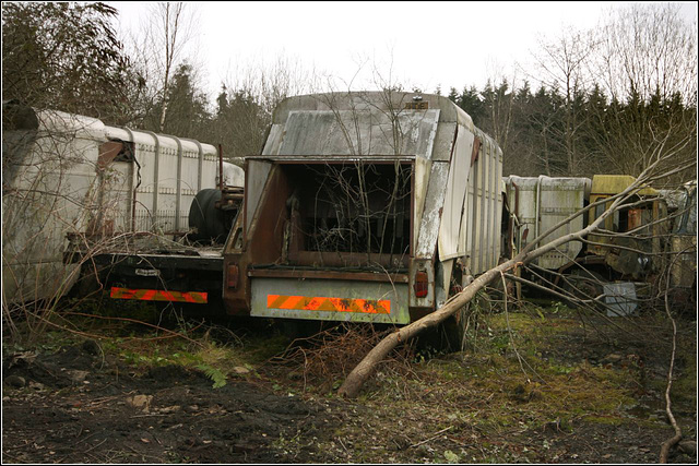 They had 'Bin' lorries once