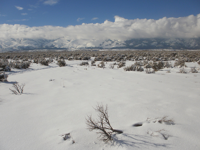 Washoe Valley