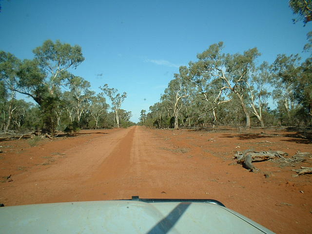 Jersey 277 Cobar - Lake Cargelligo