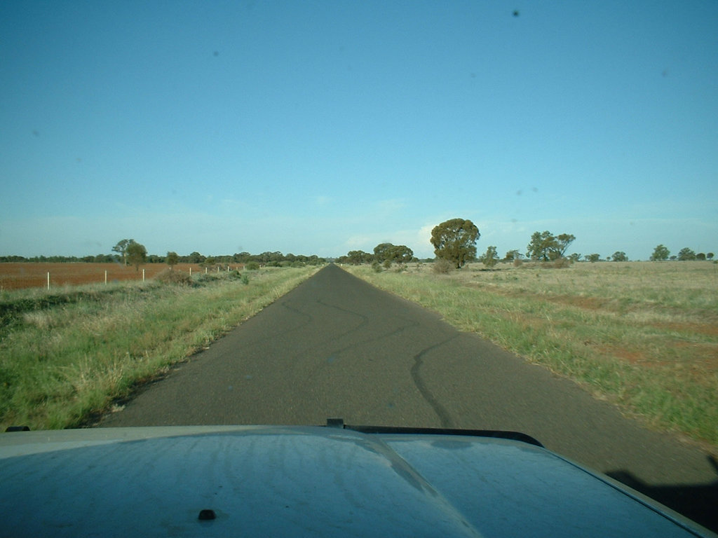 Jersey 278 Cobar - Lake Cargelligo