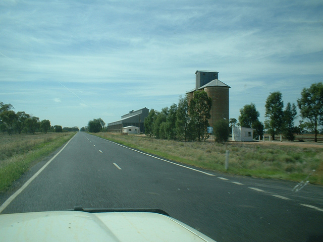 Jersey 283 Condobolin - Parkes