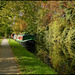 canal path in October